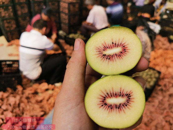 Red kiwifruit