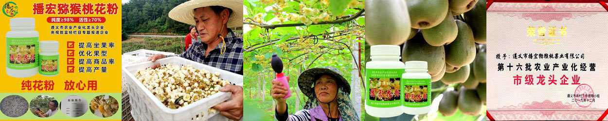 kiwifruit