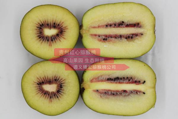 Red kiwifruit