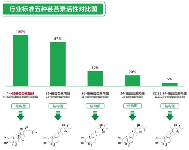 蕓苔素商品包裝