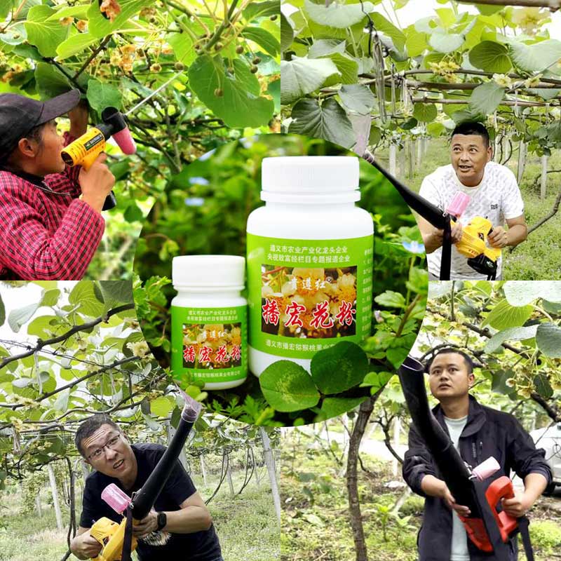 The kiwifruit orchards in China utilize electric pollinators for pollination The kiwifruit orchards in China utilize electric pollinators for pollination