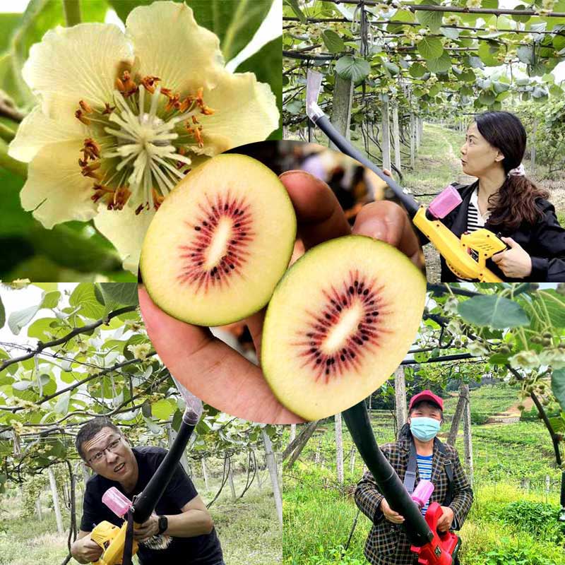 kiwi pollen applicator