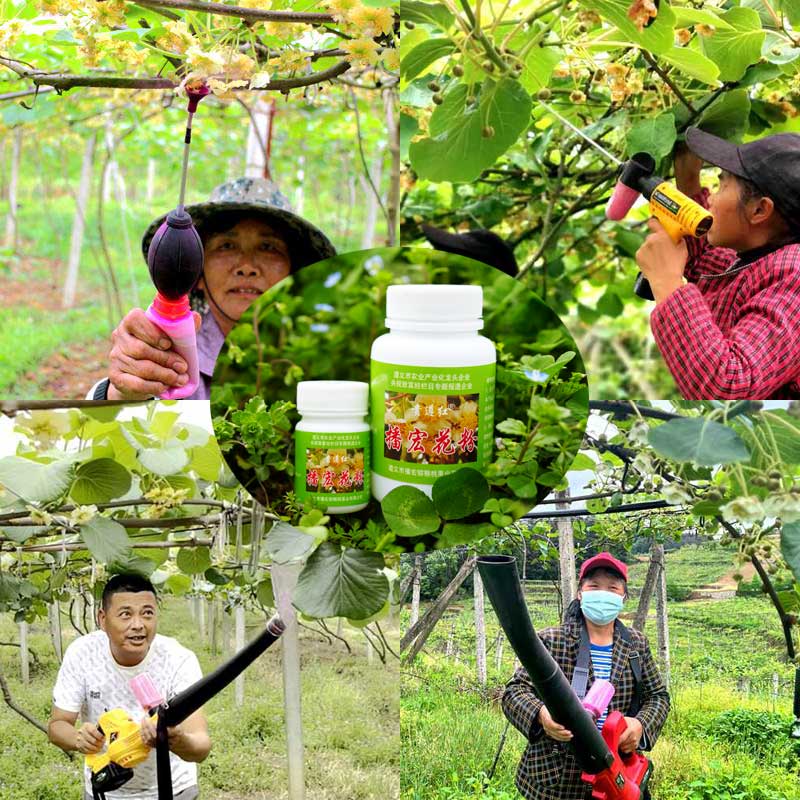 kiwi pollen applicator