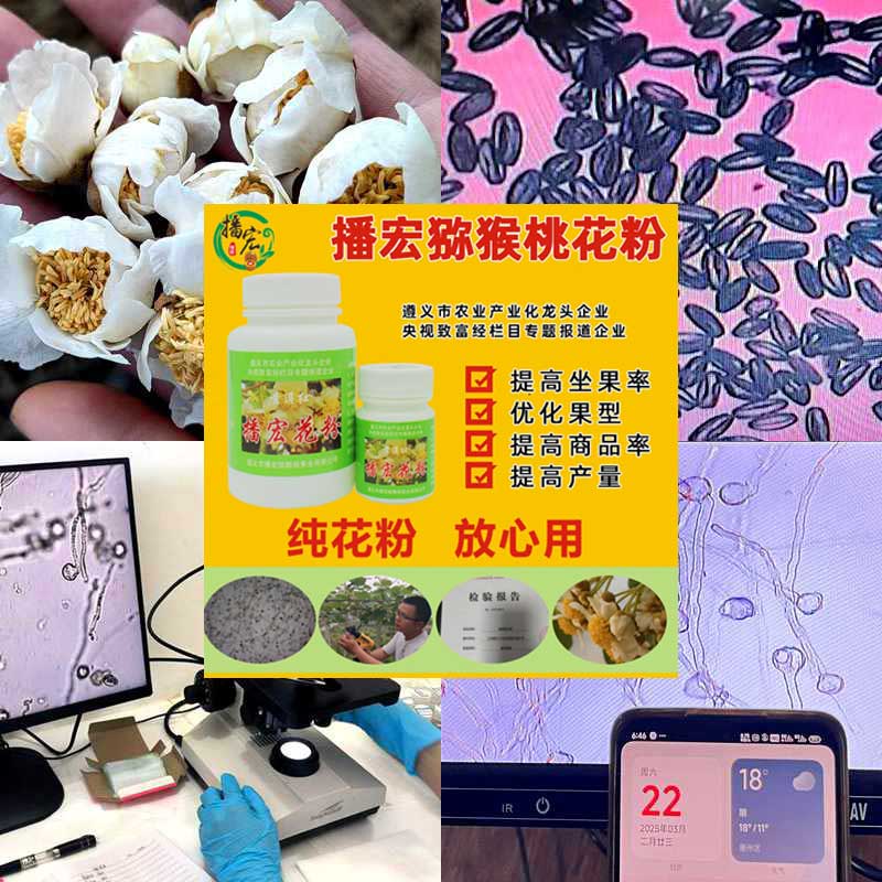 貴州播宏獼猴桃花粉 貴州播宏獼猴桃花粉