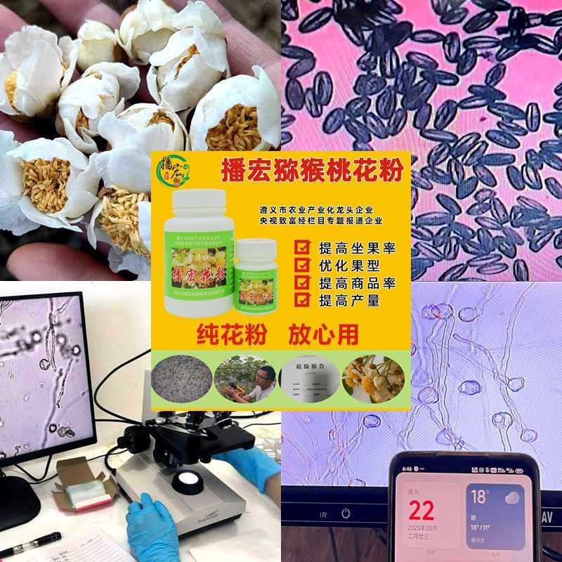 貴州播宏獼猴桃花粉