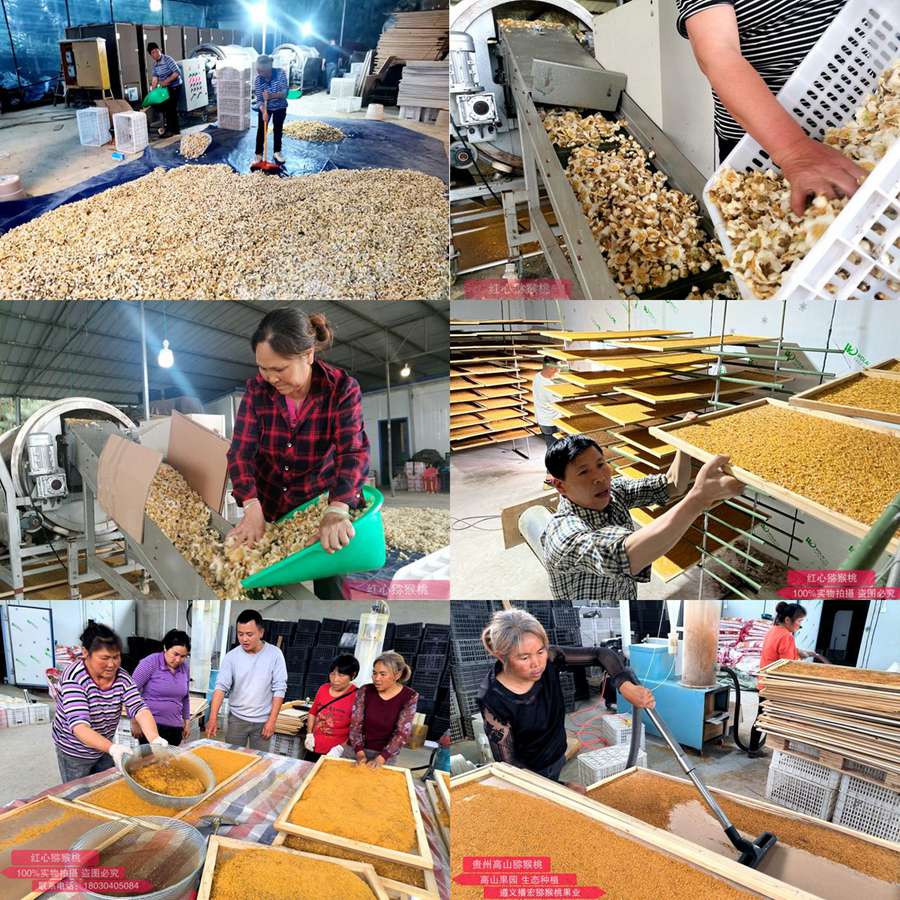 Manufacturing and processing flow of kiwi pollen Manufacturing and processing flow of kiwi pollen