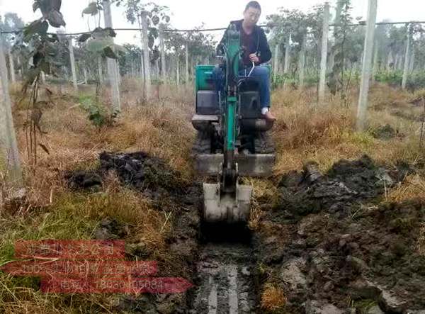 獼猴桃清理廂溝