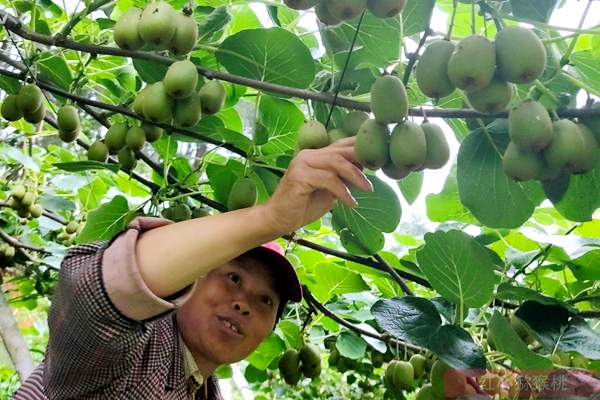 湖南長沙炎農(nóng)生物科技有限分司王中炎