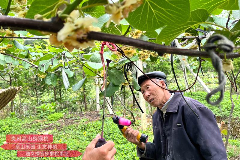 獼猴桃電動(dòng)授粉槍