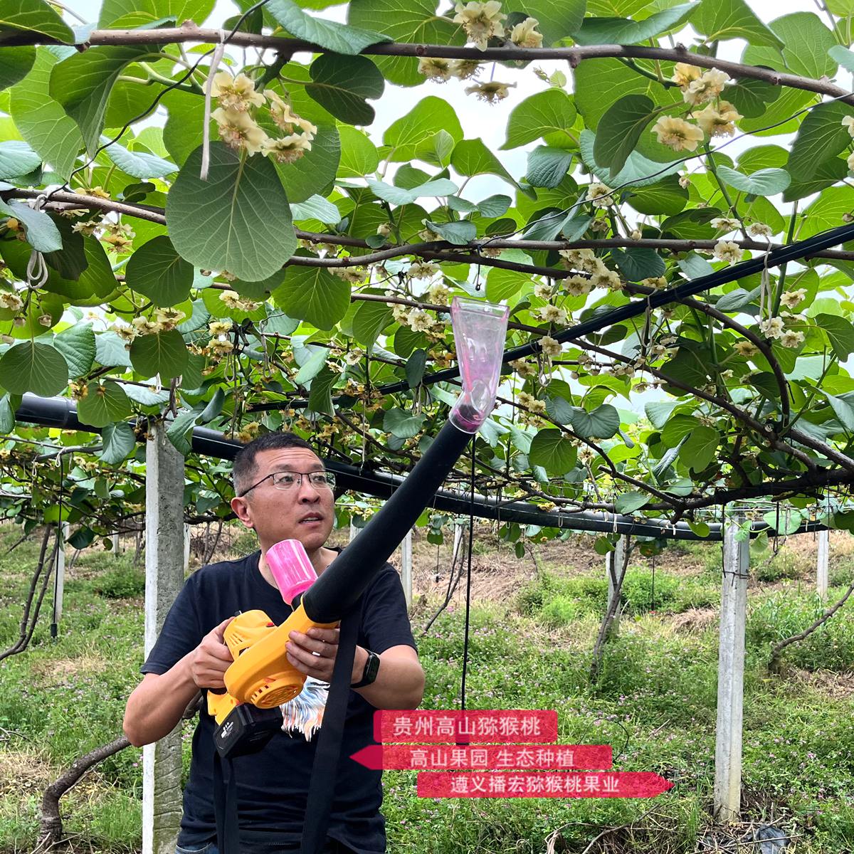 使用鋰電池的獼猴桃電動授粉機