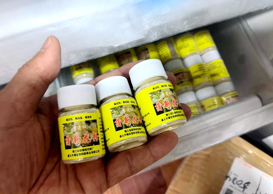 獼猴桃花粉需要低溫保存 獼猴桃花粉需要低溫保存