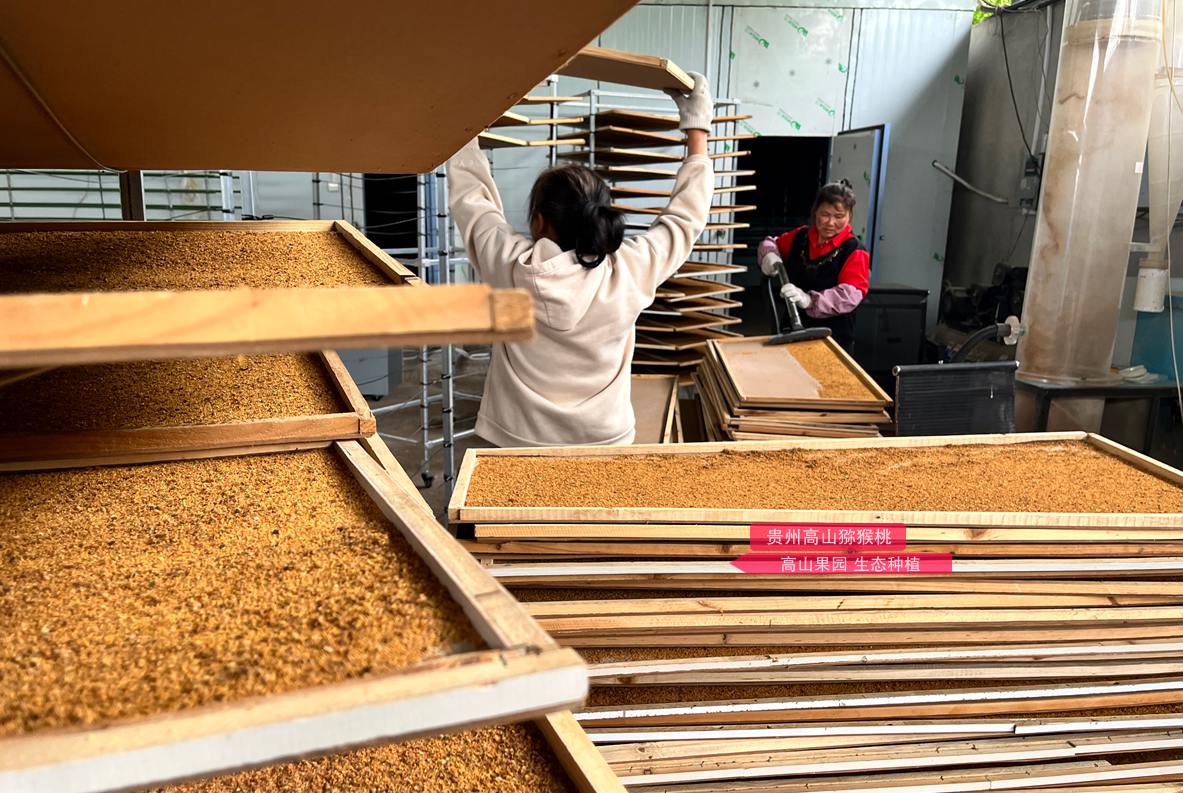kiwi pollen process
