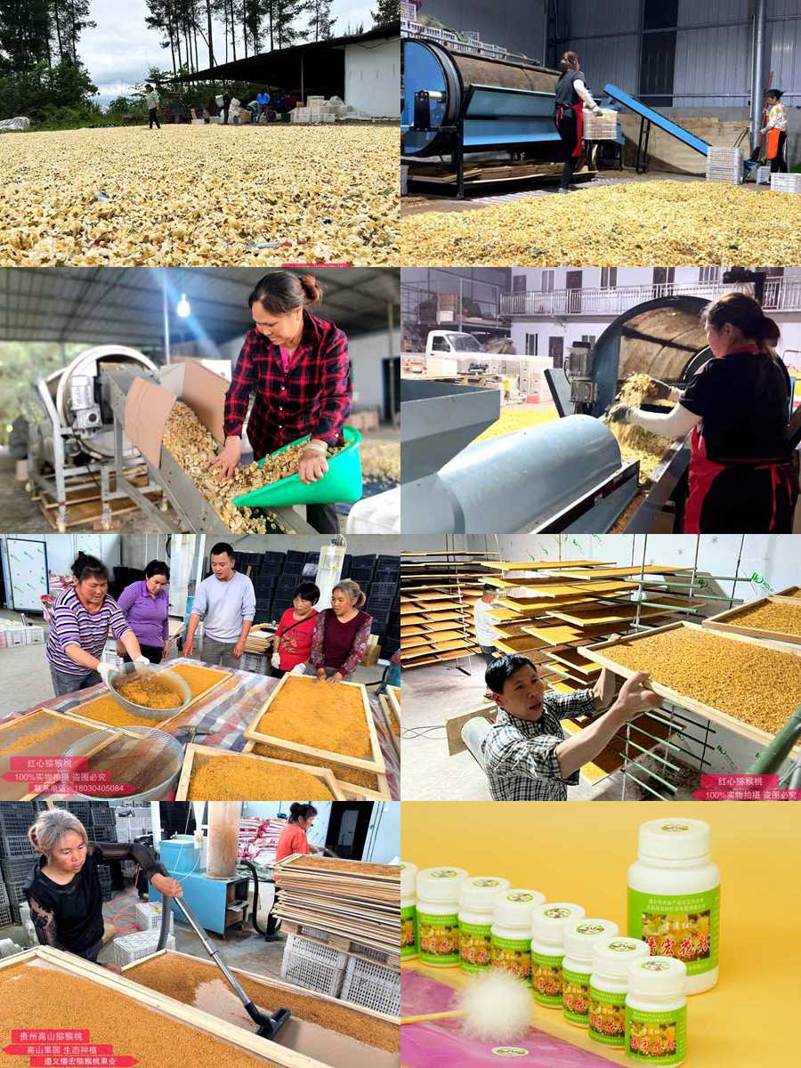 獼猴桃蜜蜂授粉