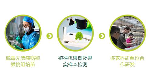 南京翠洋農(nóng)科