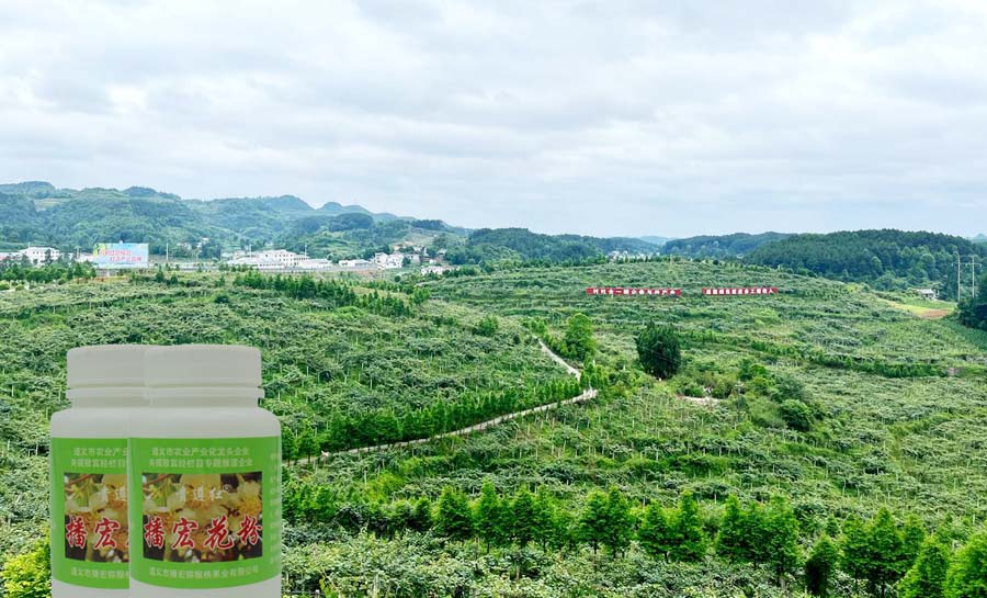 貴州獼猴桃花粉 貴州獼猴桃花粉