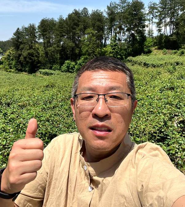 在獼猴桃果園中授粉