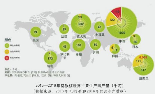 新西蘭奇異果