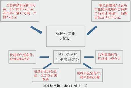 蒲江紅心獼猴桃