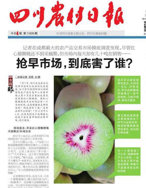 紅心獼猴桃網(wǎng)上銷售