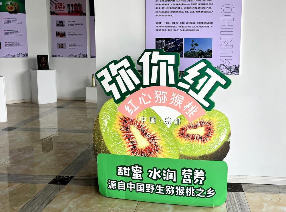 水城區(qū)獼猴桃產(chǎn)業(yè)