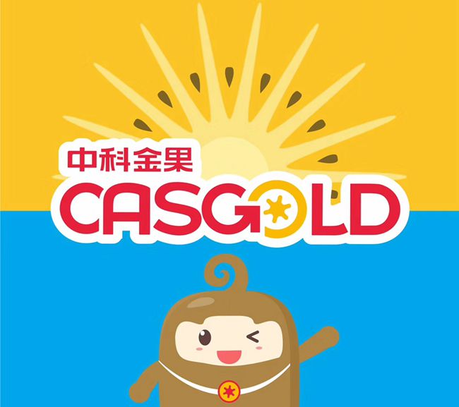 中科佳彌有機(jī)獼猴桃