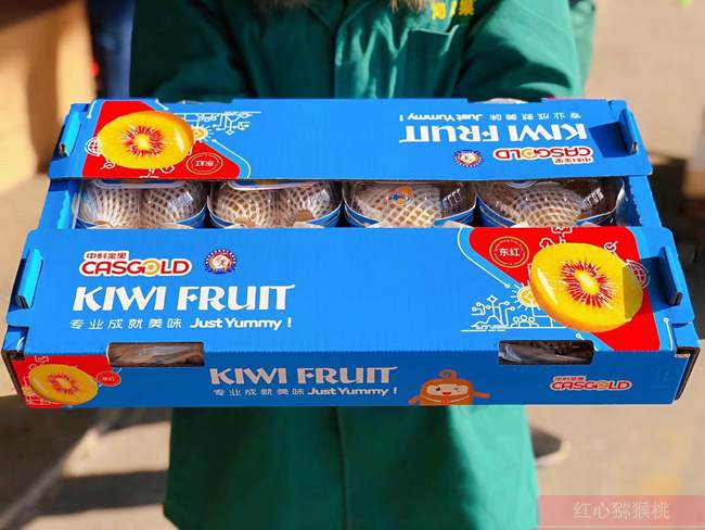 中科佳彌東紅獼猴桃
