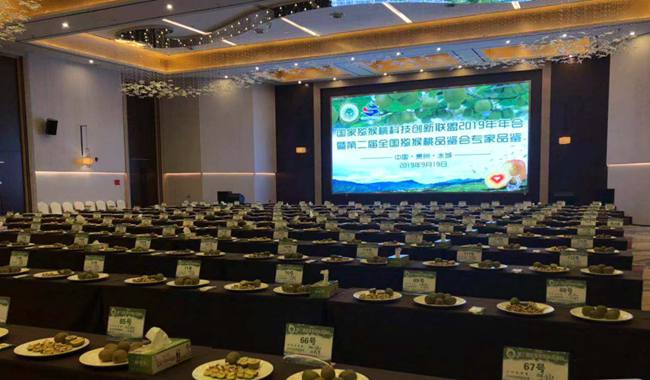 中國(guó)獼猴桃產(chǎn)業(yè)技術(shù)創(chuàng)新戰(zhàn)略聯(lián)盟