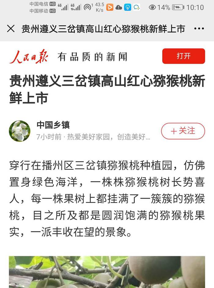 陽(yáng)光金果苗