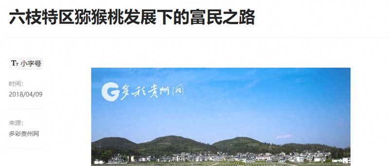 播州區(qū)三岔鎮(zhèn)獼猴桃 播州區(qū)三岔鎮(zhèn)獼猴桃