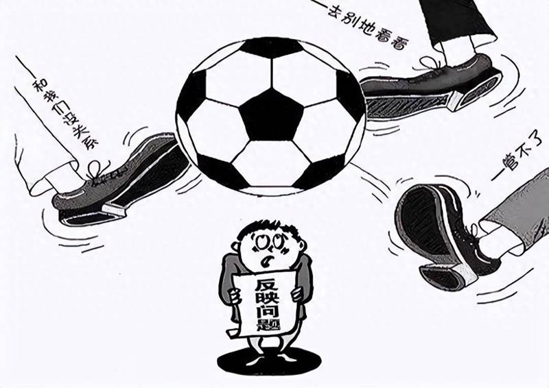 六盤(pán)水獼猴桃 六盤(pán)水獼猴桃