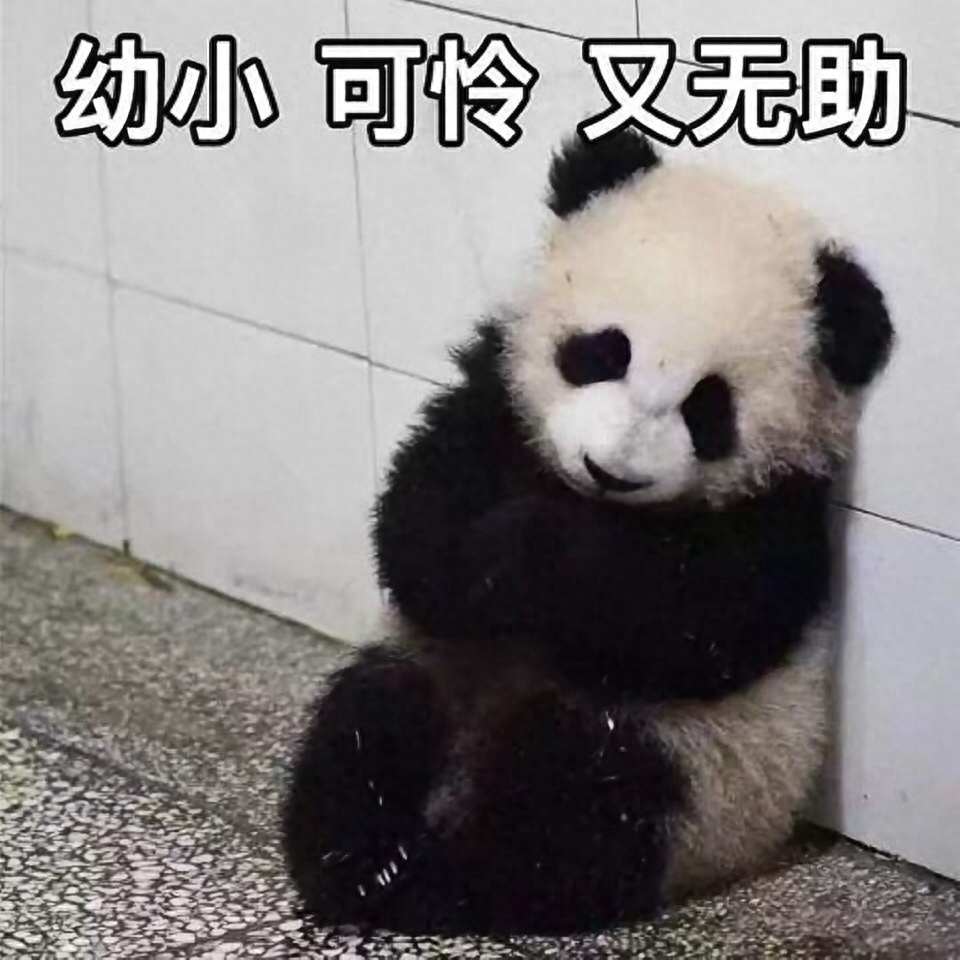 六盤(pán)水獼猴桃 六盤(pán)水獼猴桃