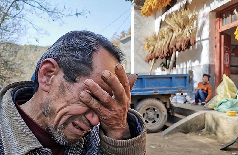 六盤(pán)水獼猴桃 六盤(pán)水獼猴桃