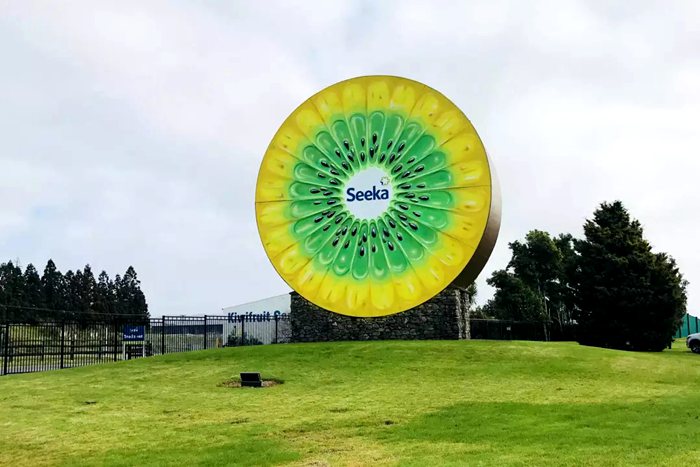 yellow Kiwifruit