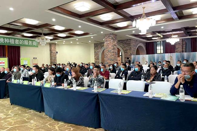 成都雅米佳公司杜炳坤 成都雅米佳公司杜炳坤