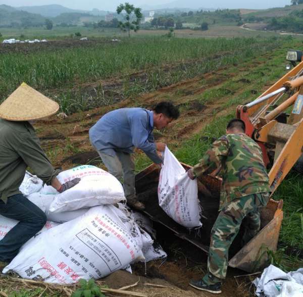 各種有機(jī)肥漚制與配肥施放技巧