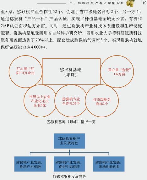 中國(guó)獼猴桃產(chǎn)業(yè)發(fā)展報(bào)告2017年